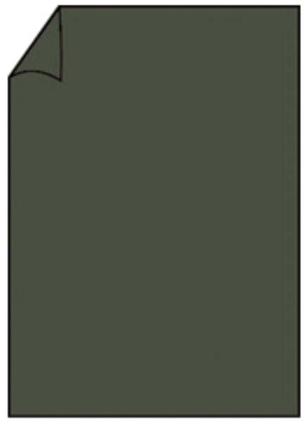 RÖSSLER Briefbogen A4 80g 10ST forest 220701571