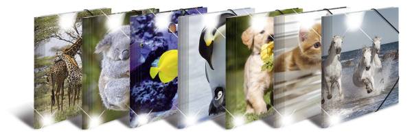 HERMA Gummizugmappe A4 Glossy Tiere sortiert 19321 PP