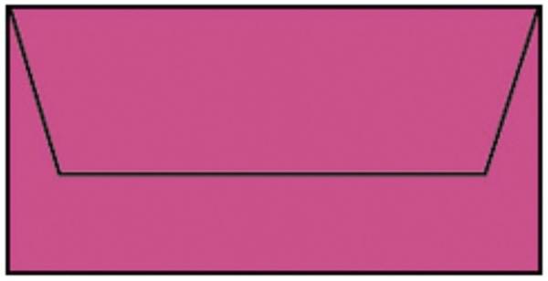 RÖSSLER Briefhülle DL 5ST pink 220702554