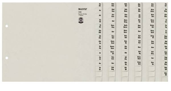 Registerserie A4 36BL grau