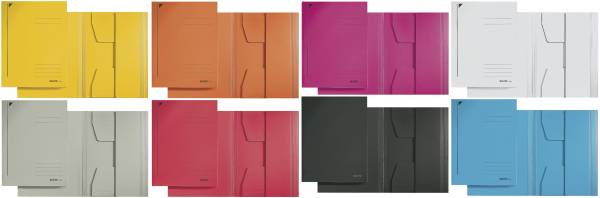 3924 Jurismappe, A4, Colorspankarton, sortiert