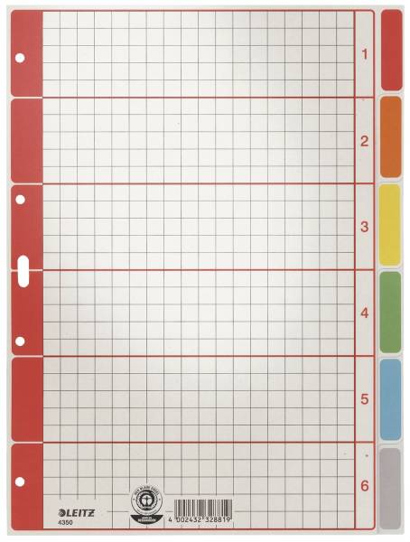 LEITZ Register A4 blanko grau 6tlg. 43500085 Karton fbg.Tabs