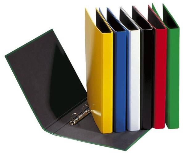 Ringbuch Basic Colours A4, 2 Ring, Ring Ø 20mm, 4 farbig sortiert