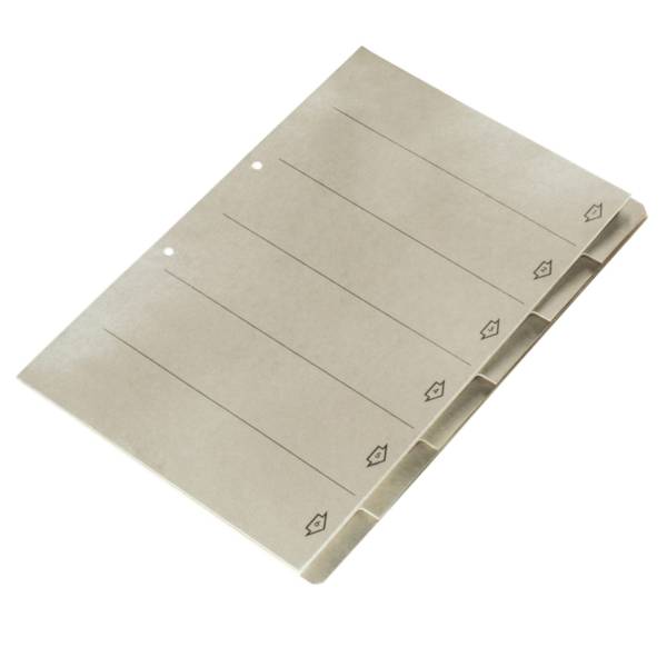 LEITZ Register 6-teilig grau 1882 00 85