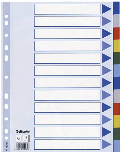 ESSELTE Register A4 blanko bunt 12tlg. 15262 Plastik fbg.Tabs