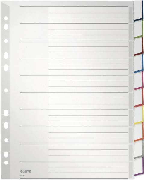 4370 Register PP, blanko, A4 Überbreite, 10 Blatt, grau
