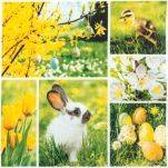 HOME FASHION Osterserviette 33x33cm Hase/Ente 211954