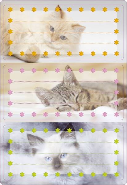 HERMA Buchschild Katzen 76x35 mm 6 Stück 5569 beglimmert permanent