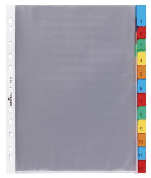 Hüllenregister Folie, blanko, transparent, A4, 12 Blatt