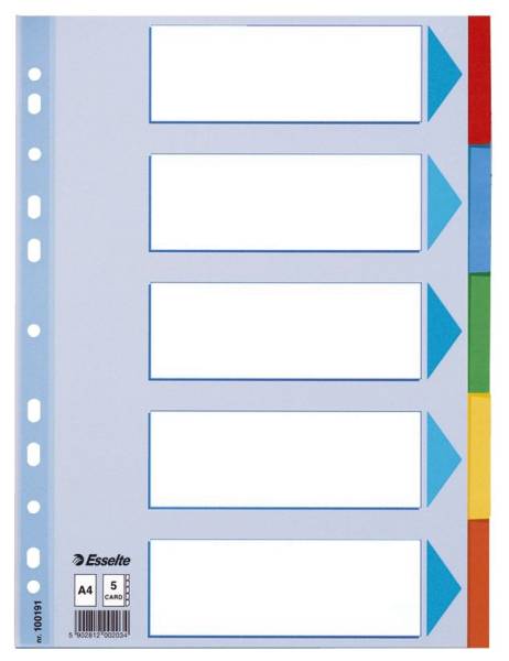 Register blanko, Karton, A4, 5 Blatt, weiß, farbige Taben