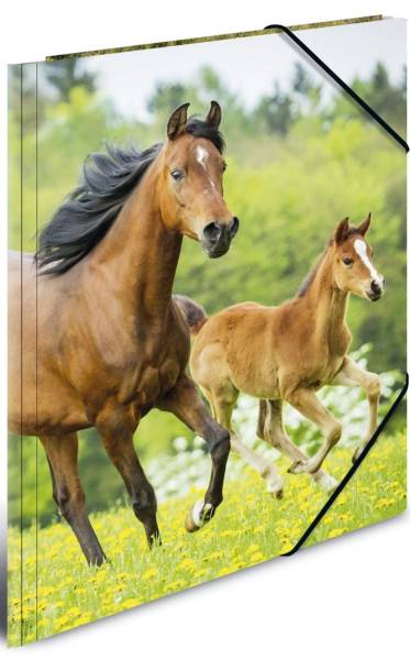 HERMA Gummizugmappe A4 Pferde 7140 PP