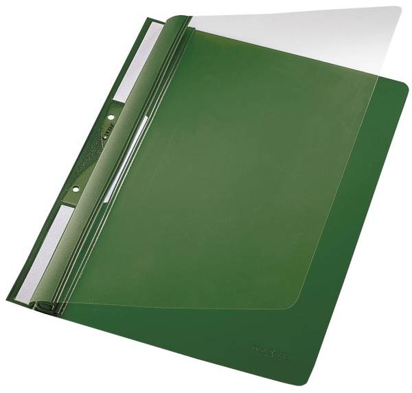 4190 Einhängehefter Universal A4, 250 Blatt, PVC, grün