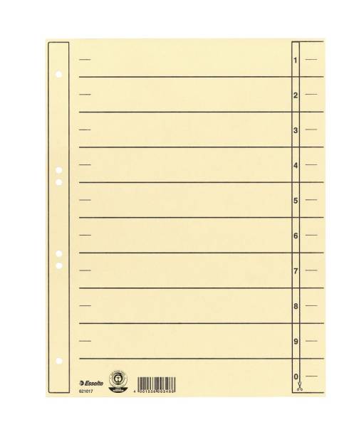 Trennblatt A4 Überbreite, Karton, chamois, 100 Stück