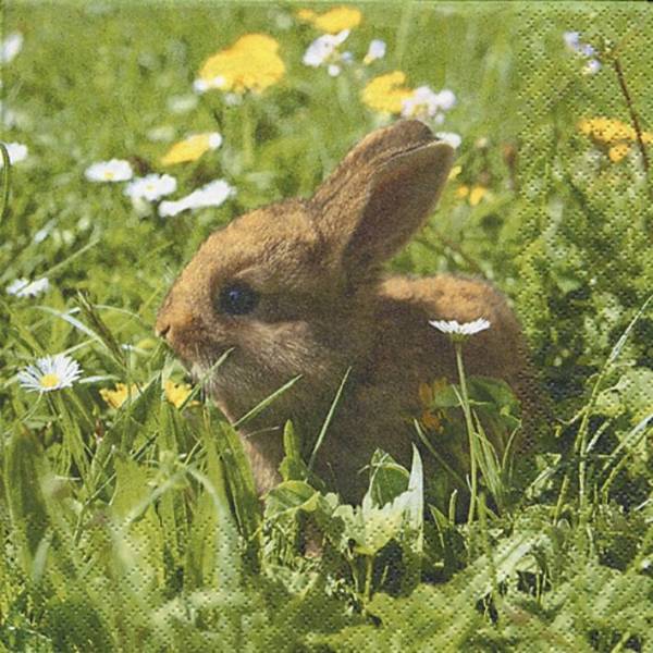 Osterserviette 33x33cm Hase
