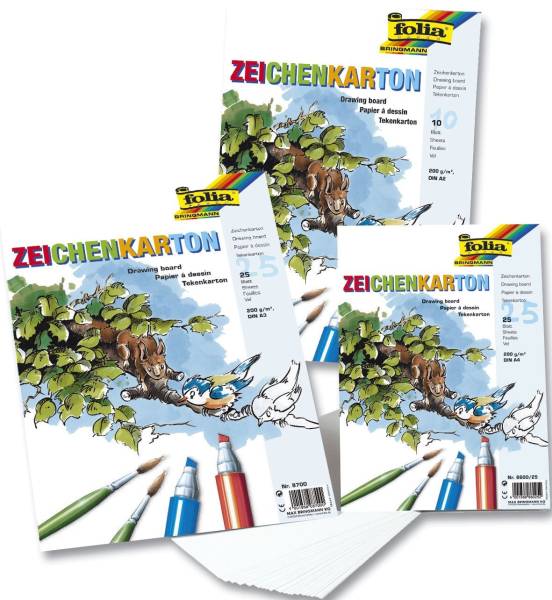 Zeichenkarton 120 g qm, DIN A2, 10 Blatt