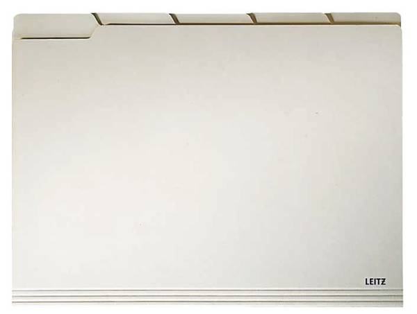 LEITZ Einstellmappe chamois 2434-00-11 mit Taben