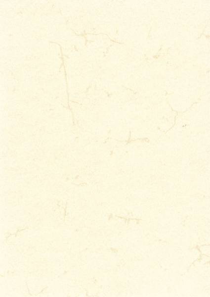 Dokumentenpapier (Elefantenhautpapier), 110g qm, weiß, DIN A4