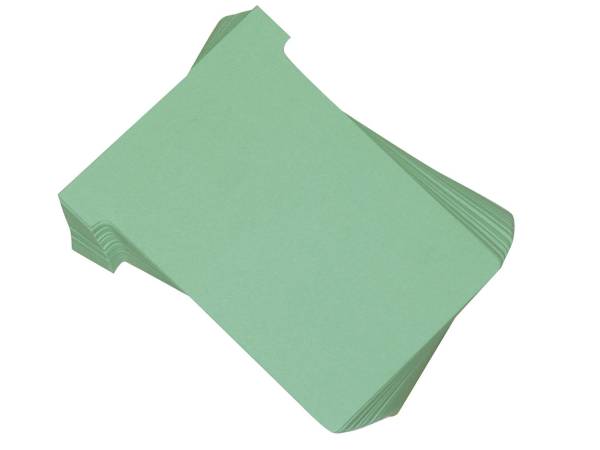 FRANKEN T Karte 100ST grün TK319 Gr.3 125x77mm