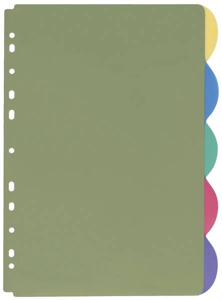 Register blanko, PP, A4, 5 Blatt, farbig