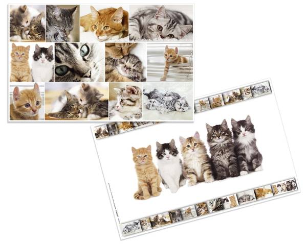 HERMA Schreibunterlage Katzen 19379 55x35cm