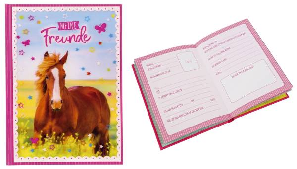 GOLDBUCH Freundebuch A5 3D Pferdeliebe 43291
