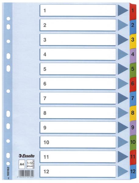ESSELTE Register A4 1-12 weiß 100162 Karton fbg.Tabs