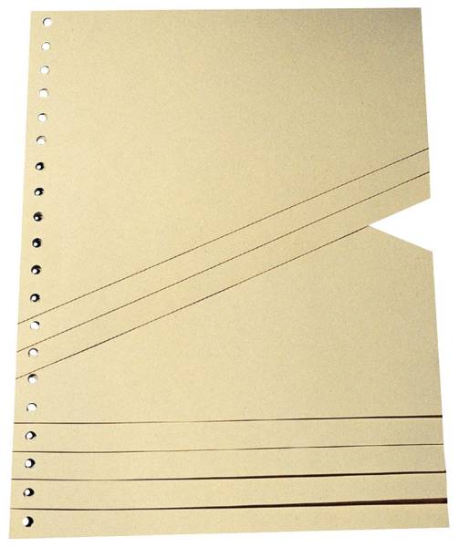Staffeltrennblatt A4 100ST chamois 591100100 190 - 200 g/qm