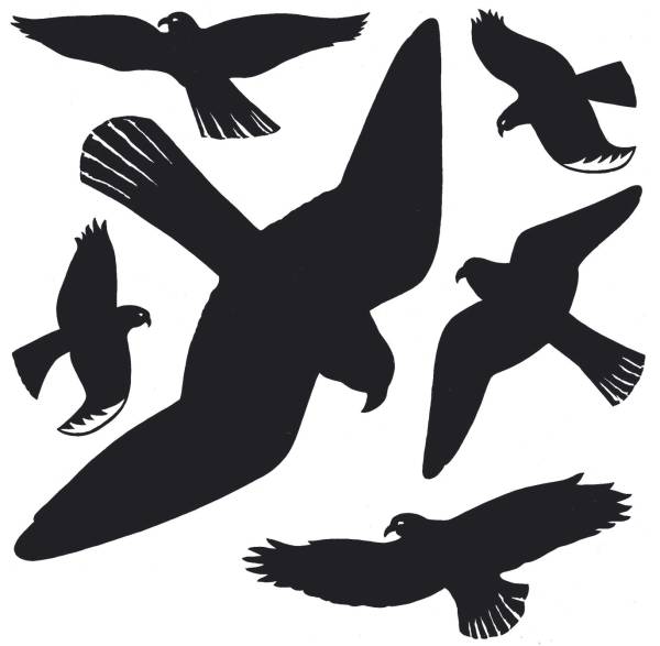 HERMA Fensterbild Warnvogel schwarz 1 Blatt 5999 wetterfeste Hartfolie