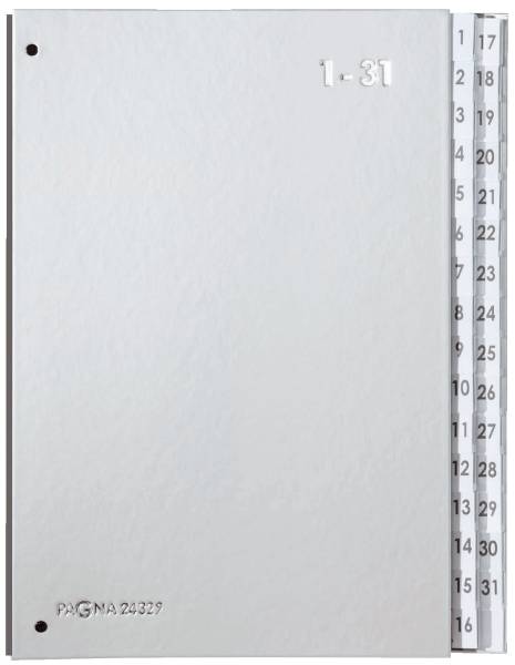 PAGNA Pultordner 32 tlg. silber 24329 14 Color