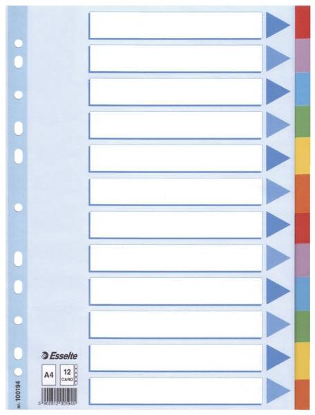 Register blanko, Karton, A4, 12 Blatt, weiß, farbige Taben