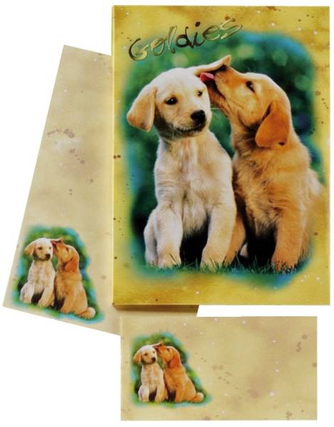 DFW Briefpapier Kinder 10/10 farb. 180350 Hundewelpen