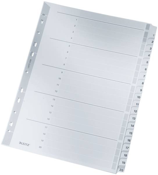LEITZ Register A4 1-20 grau 4326-00-00 Karton 20tlg.