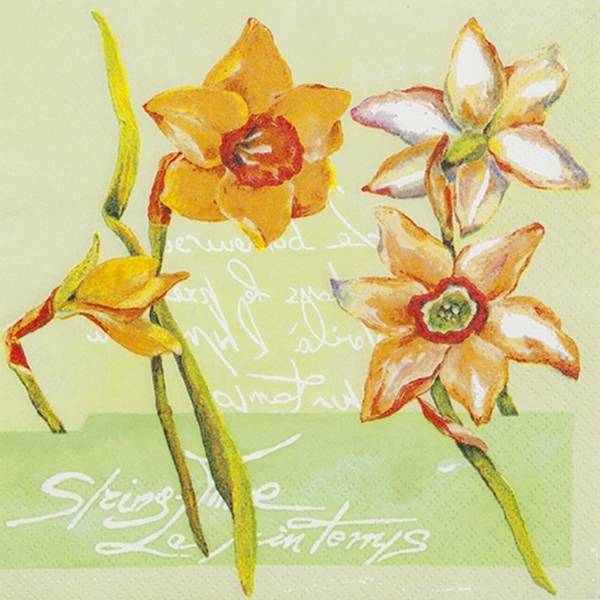 HOME FASHION Motivserviette 33x33cm Frühjahr Narzisse 211900