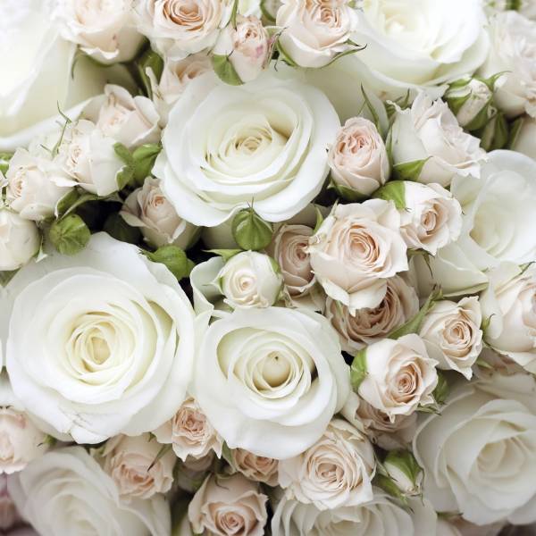 HOME FASHION Motivserviette 33x33cm Rosen 211811