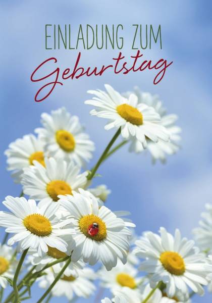 Einladung Geburtstag 1-011/1 Bild